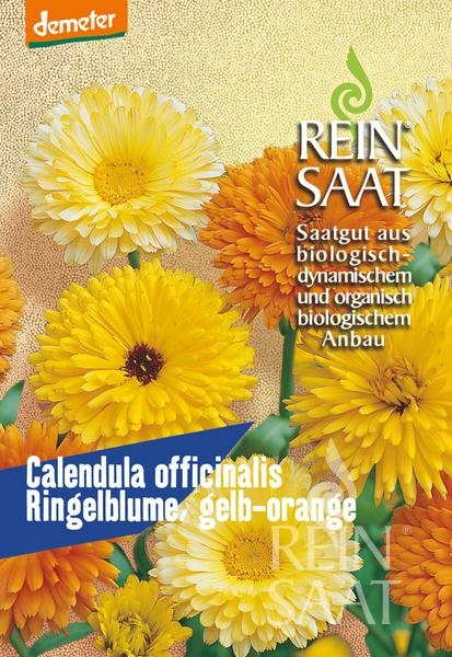 ringelblume-gelb-orange.jpg