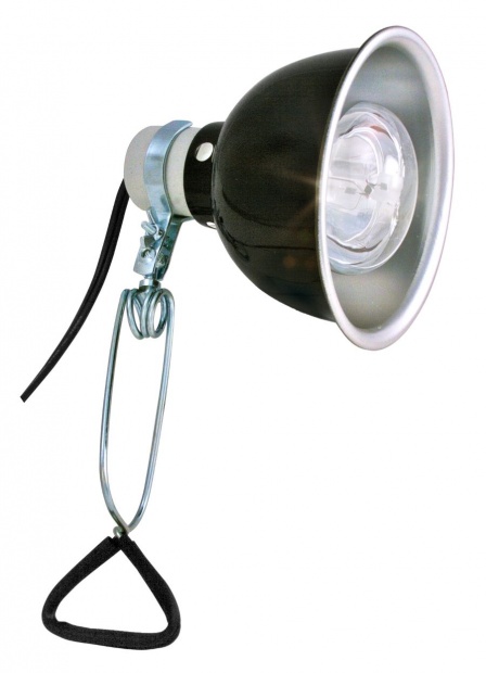 lf-11-clamp-lamp-lit.jpg