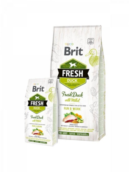 brit-fresh-adult-duck-millet-416x555.jpg