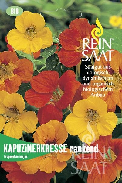 kapuzinerkresse-rankend2.jpg