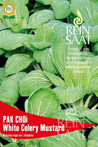 pak-choi.jpg