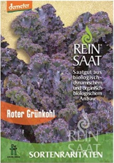 roter-grunkohl.jpg