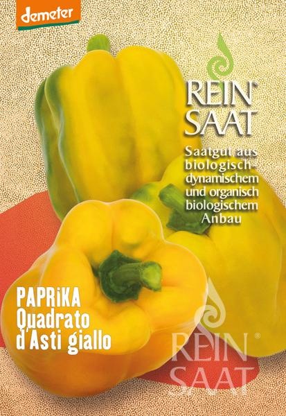 quadrato-dasti-giallo.jpg