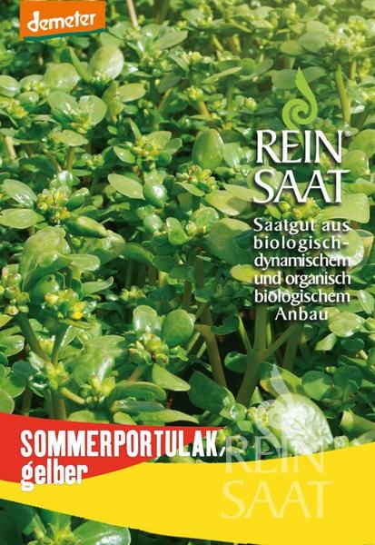 sommerportulak-gelber.jpg