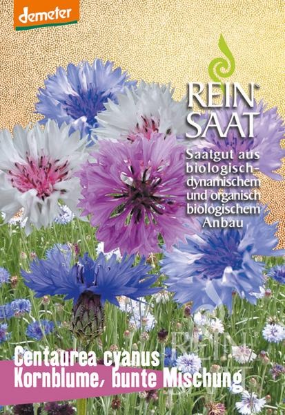 kornblume-bunte-mischung.jpg