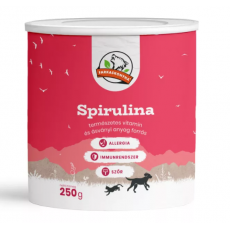 Spirulina Alga 250g