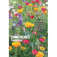 Virágok Egynyári-Tündérkert/Sommerblumen Feenwiese