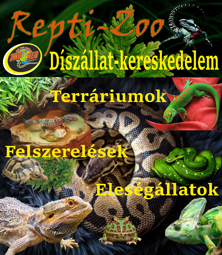 Díszállat_banner_750x860